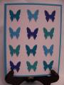 2010/10/23/Blue_Butterflies_IC255_by_RDey.JPG