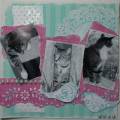 2010/10/23/Cat_Mini_Album_pg_1_by_Melisa_Waldorf.JPG