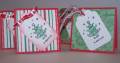 2010/11/14/tiny_cards_by_stampingwriter.jpg