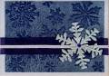 2010/12/30/SilverSnowflake1_by_Ophthalmologist.jpg