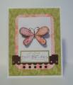 2011/01/18/Pink_and_Green_Butterfly_Birthday_by_Sherri_Thompson.JPG