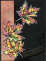 2011/01/29/Colourful_leaves_by_crystaldolphins.jpg