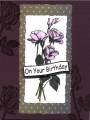 2011/01/29/purple_roses_with_maroon_card_by_crystaldolphins.jpg