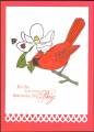2011/01/31/Cardinal_eyeing_Lady_Bugs_by_vjf_cards.jpg
