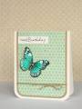 2011/02/03/birthday_butterfly_1_by_limedoodle.jpg