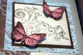 2011/02/03/butterfly_card-closeup_C_by_Tricia_Marie.jpg