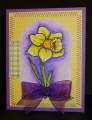 2011/02/07/Flourishes_-_Daffodil_yellow_purple_by_alicaz.jpg