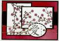 2011/02/20/Asian_Blossoms_by_BarbieP.JPG