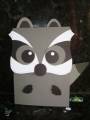 2011/02/26/Racoon_Photo_by_stampandshout.jpg