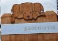 2011/03/12/Puppies_Looking_Over_The_Fence_bensarmom_by_bensarmom.JPG