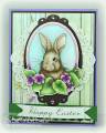 2011/03/16/Real_Easter_Bunny_by_waterchild12.jpg