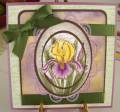 2011/04/10/Layered_Iris_by_Lady_Bug_by_Paper_Crazy_Lady.JPG