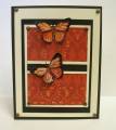 2011/04/20/SC329_red_daffodil_and_anise_butterflies_by_MariLynn.jpg