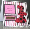 2011/04/21/Mother_s_Day_-_Ladybugs_by_Kathy_D_.JPG