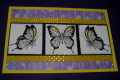 2011/04/26/priscillastyles_butterflies_by_vampme3.png