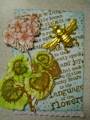 2011/05/28/Language_of_the_Flowers_ATC_2_by_seraines.jpg