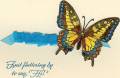 2011/05/30/CAS121_Fluttering_By_by_knoxville8625.jpg