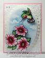 2011/05/30/FSS-CARD_Hummingbird_Petuniasjpg_by_fredness.jpg