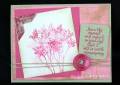2011/06/07/CC236_pinks_live_in_the_moment_by_luvtostampstampstamp.jpg