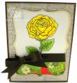 2011/06/10/Yellow_Rose_Card_2_by_KY_Southern_Belle.jpg