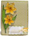 2011/07/06/Daffodils_for_Mom_Card_by_KY_Southern_Belle.jpg