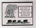 2011/07/06/Elephants_at_Large_bb_by_triasimite.jpg