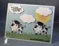 2011/08/05/Don_t_Have_a_Cow_lb_by_Clownmom.jpg