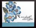 2011/08/08/blue_flower_card_by_SanFransister.jpg