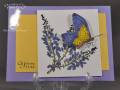 2011/08/12/butterfly_and_wisteria_by_PKPenn.jpg