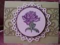 2011/08/21/Mostly_Animals_Rose_by_iluvpaper2.jpg