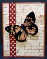 2011/08/22/QFTD74_-_CRE_Butterfly_on_the_Wall_by_BobbiesGirl.JPG