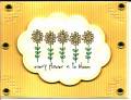 2011/08/24/every_flower_there_is_a_bloom0001_by_hotwheels.jpg