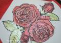 red-roses-