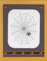 2011/09/08/Spider_in_Web_by_gobarb26.jpg