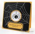 2011/09/25/KC_Spider_and_Web_2_by_kittie747.jpg