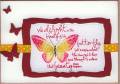 2011/09/27/ButterflyChanges1_by_Ophthalmologist.jpg