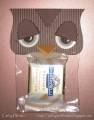 2011/09/30/Owl_Treat_Bag_w-caption_by_colocrafter.JPG