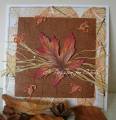 2011/10/25/Maple_and_weave_card_by_ruthH.jpg