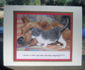 2011/10/31/animals_-_cat-dog_flossing_by_vampme3.png