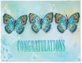 2011/11/08/ButterflyCongratulations_by_Stacey_Blockhead.jpg