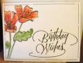 2012/01/12/Birthday_Wishes_Poppies_by_Mjensen602.JPG
