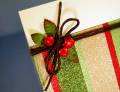 2012/01/23/Christmas_Card_with_sparkle_-_close_up_by_wiggydl.jpg
