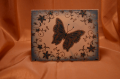 2012/02/02/Butterfly_5_by_Kananaskis.png