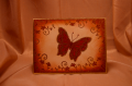 2012/02/02/Butterfly_by_Kananaskis.png