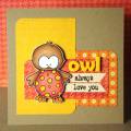 Owl_always
