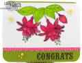 2012/04/21/Congrats_on_Your_Retirement_Card_by_KY_Southern_Belle.jpg