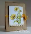 2012/04/25/yellow_flowers_HC_by_stampingout.jpg