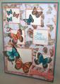 2012/05/07/F4A112_Butterfly_Dreams_Inchies_and_Twinchies_by_saffivort.JPG