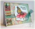 2012/05/08/SC384-grandmother_by_sweetnsassystamps.jpg