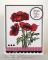 2012/05/12/Mothers_poppies_scs_by_SophieLaFontaine.jpg
